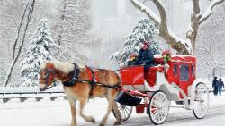Christmas Central Park