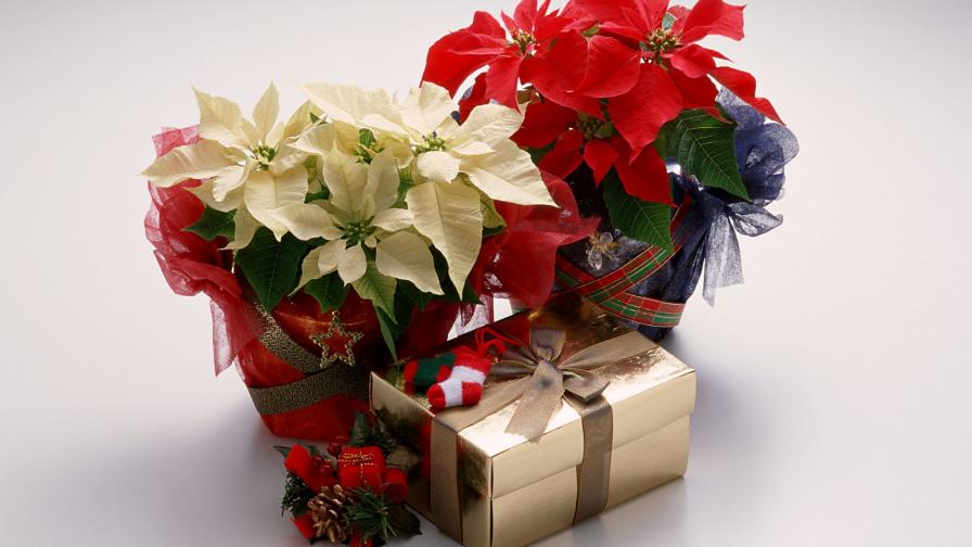 Christmas Gifts