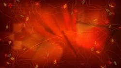 Christmas Lights Red