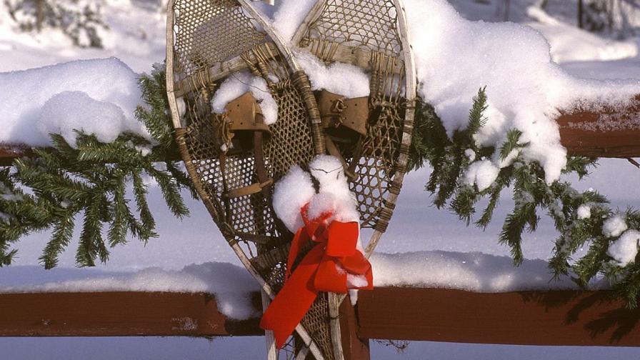 Christmas Ornament 14