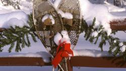 Christmas Ornament 14