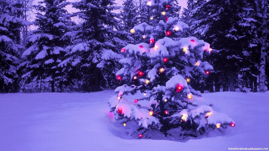 Christmas Tree 11