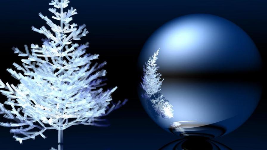 Christmas Tree Reflection