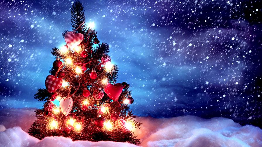 Christmas Tree With Lights