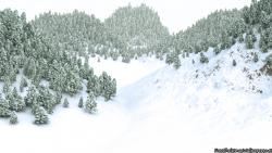 Christmas Winter Forest