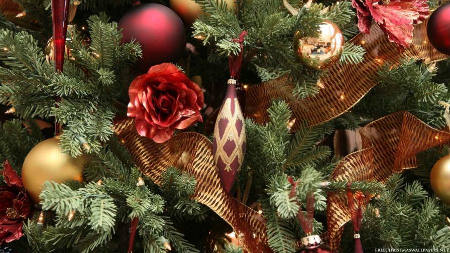 Close Up Christmas Tree