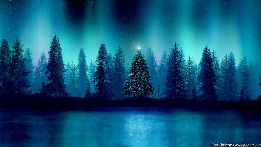 Cold Winter Nature Night