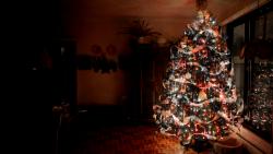 How To Decorate A Christmas Tree
