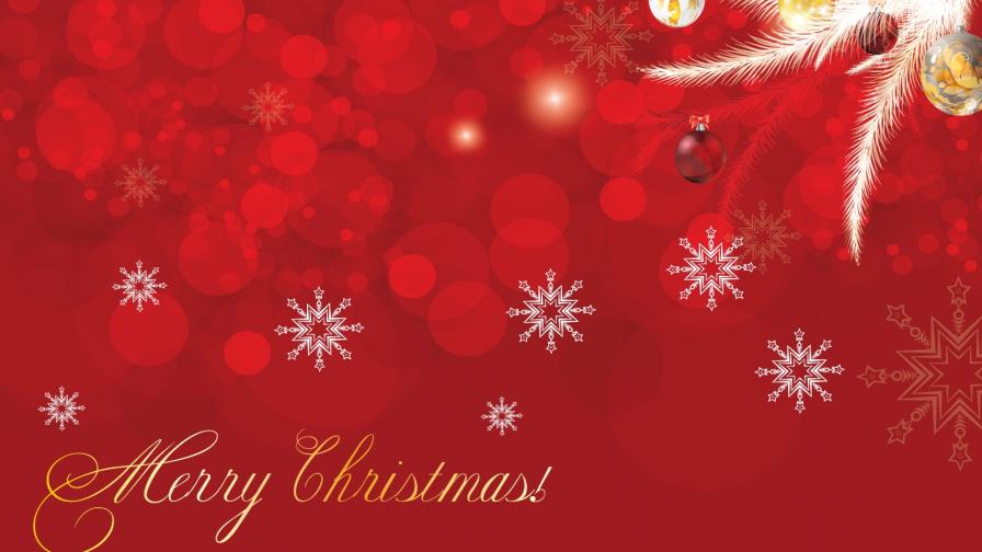 Merry Christmas For You