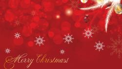 Merry Christmas For You