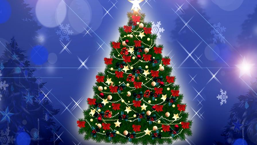 Perfect Christmas Tree