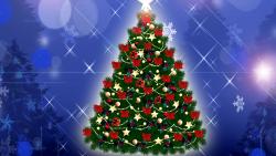 Perfect Christmas Tree