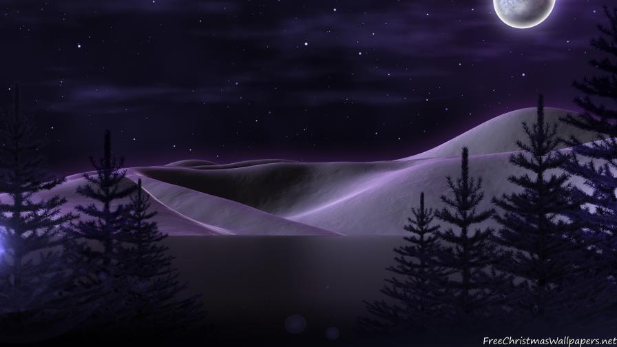 Quiet Christmas Night