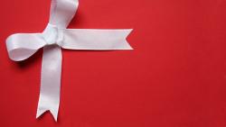 Red Christmas Bow