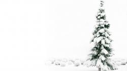 Snowy Christmas Tree