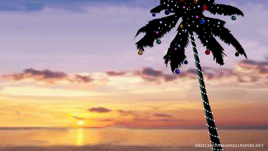 Tropical Christmas