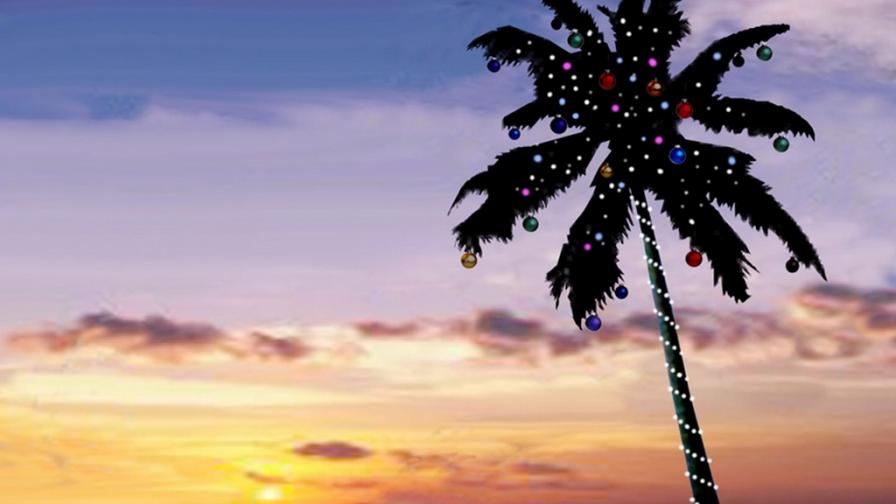 Tropical Christmas