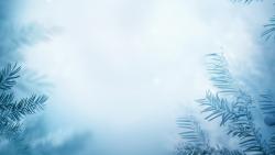 Winter Background With Frozen Trees