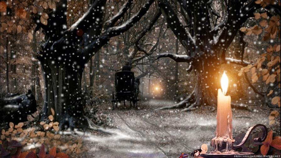 Xmas Snow Nature Candle