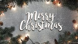 Old World Christmas Ornaments