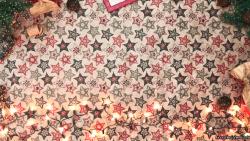 Our First Christmas Ornaments